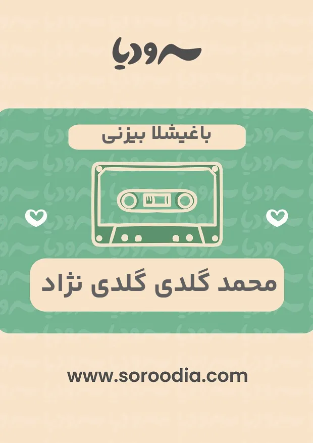 باغیشلا بیزنی