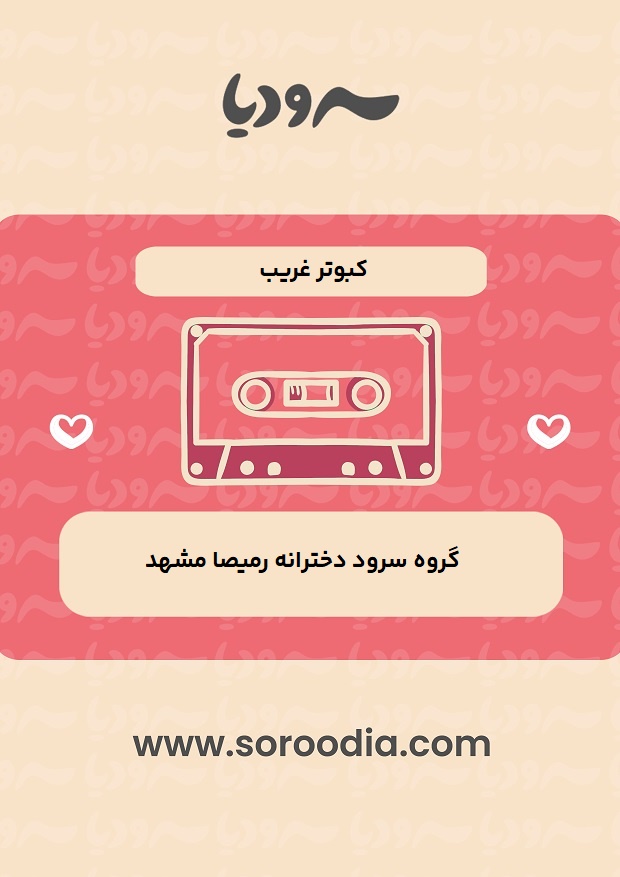 کبوتر غریب