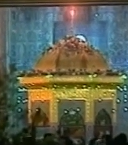 رضا رضا